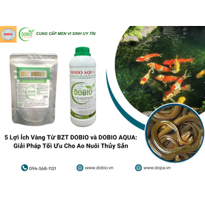 5 Lợi Ích Vàng Từ BZT DOBIO và DOBIO AQUA: Giải Pháp Tối Ưu Cho Ao Nuôi Thủy Sản