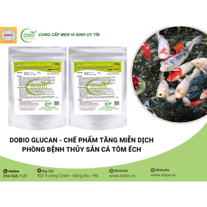 5 Lợi Ích Vượt Trội Của DOBIO GLUCAN – Chế Phẩm Tăng Miễn Dịch Hàng Đầu Cho Ao Nuôi Thủy Sản