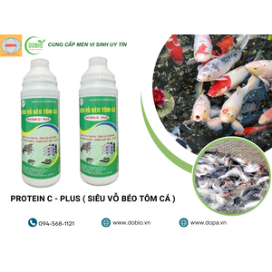 5 Lợi Ích Vượt Trội Của PROTEIN C - PLUS Giúp Tối Ưu Ao Nuôi Thủy Sản