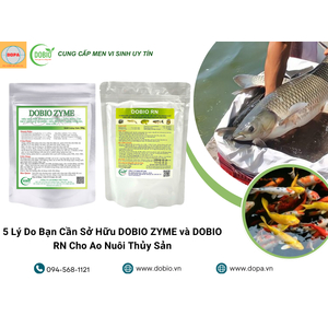 5 Lý Do Bạn Cần Sở Hữu DOBIO ZYME và DOBIO RN Cho Ao Nuôi Thủy Sản