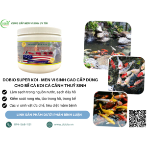 5 Lý Do Bạn Nên Chọn DOBIO SUPER KOI – Giải Pháp Hoàn Hảo Cho Ao Nuôi Thủy Sản
