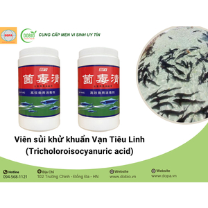5 Lý Do Viên Sui Khử Khuẩn Vạn Tiêu Linh Là Giải Pháp Tối Ưu Cho Ao Nuôi Thủy Sản