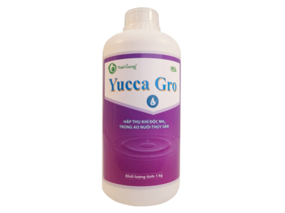 YUCCA GRO