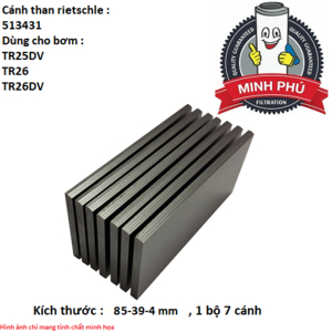 CÁNH GẠT BƠM RIETSCHLE 513431