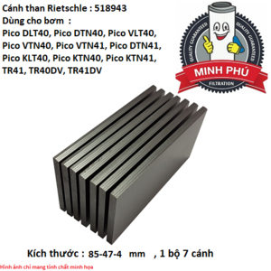 CÁNH GẠT BƠM RIETSCHLE 518943