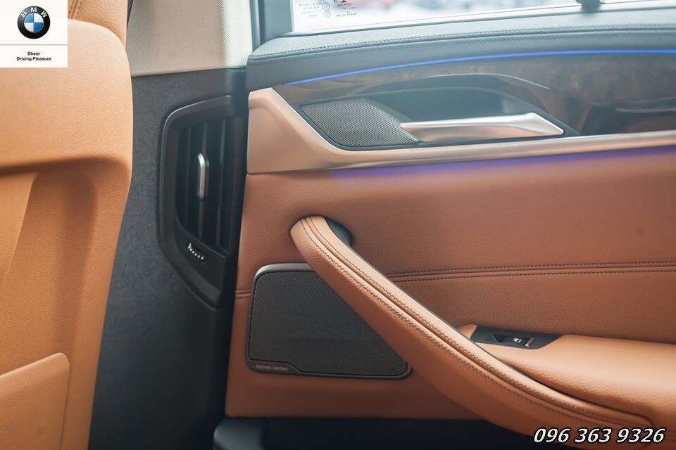 BMW 530i Luxury - Hình 21