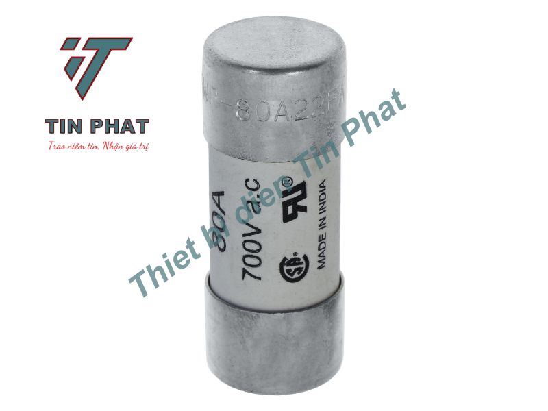 CẦU CHÌ EATON BUSSMANN FWP-80A22F 700V 80A