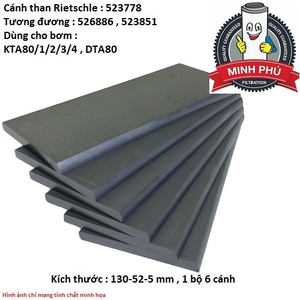 CÁNH GẠT BƠM RIETSCHLE 523778