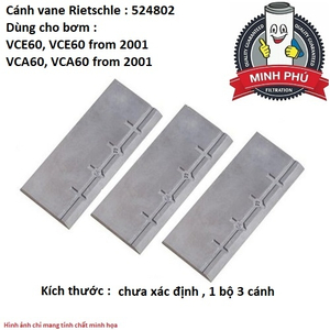 CÁNH GẠT BƠM RIETSCHLE 524802