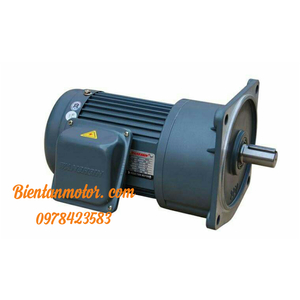 MOTOR GIẢM TỐC, MOTOR GIẢM TỐC WASHIN 2200W, 2HP, TỶ LỆ TRUYỀN 1/3--1/200, MẶT BÍCH