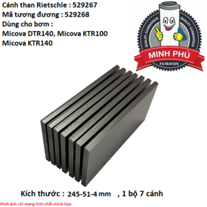 CÁNH GẠT BƠM RIETSCHLE 529267
