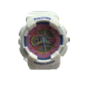 Pindows 504A