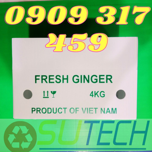 Thùng nhựa đựng gừng 4kg