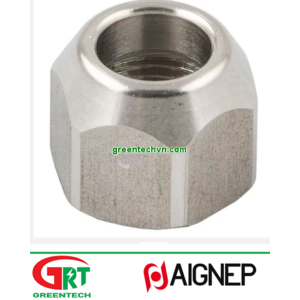 61700 | Aignep | Hexagonal nut / stainless steel | Aignep Vietnam