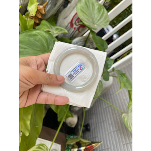 Vòng tím phớt ánh lục nhạt