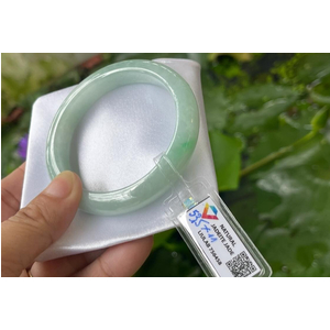 Xanh táo non điểm lý