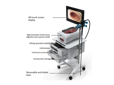 Mô hình đào tạo tích hợp phẫu thuật nội soi