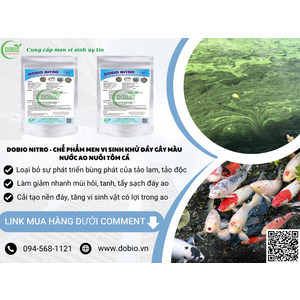 7 Công Dụng Tuyệt Vời Của DOBIO NITRO – Giải Pháp Hoàn Hảo Cho Ao Nuôi Thủy Sản