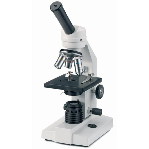 Kính hiển vi euromex Novex microscope FL-100-LED