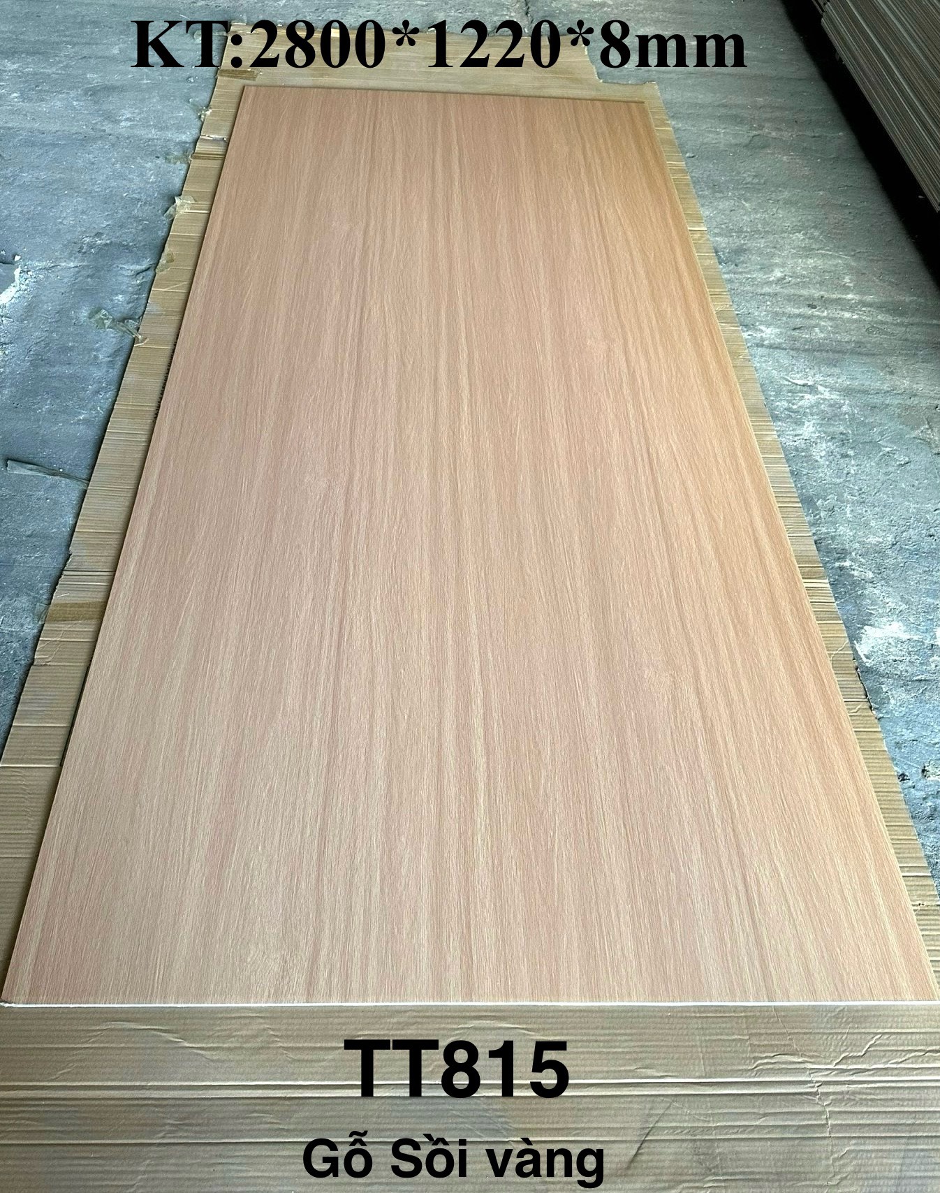 Tấm ốp sợi than tre ANP TOPOL