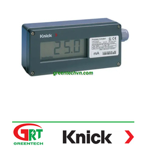 830 R | Chỉ báo quá trình 830 R | Knick VietNam