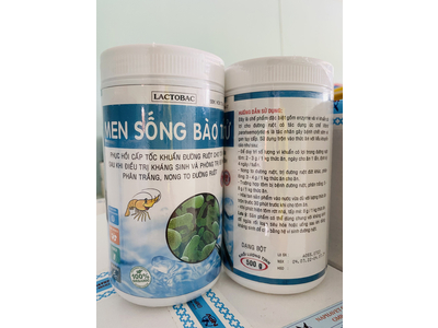 MEN SỐNG BÀO TỬ