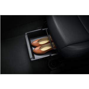 Mitsubishi Destinator