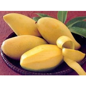 9 loại quả ăn nhiều, yêu khỏe