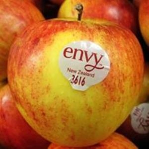 9 tác dụng cực tốt của táo envy