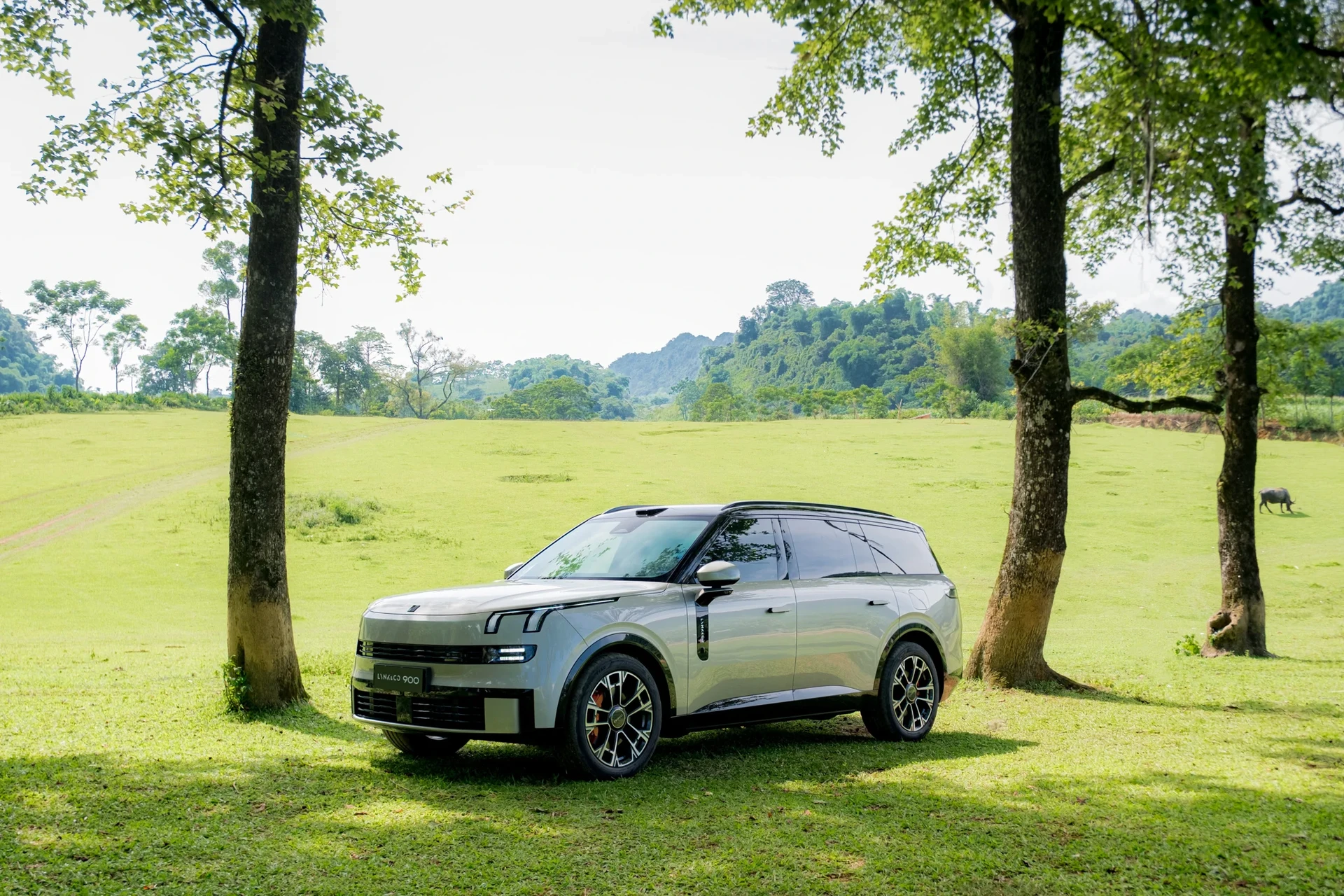 Lynk & Co 900