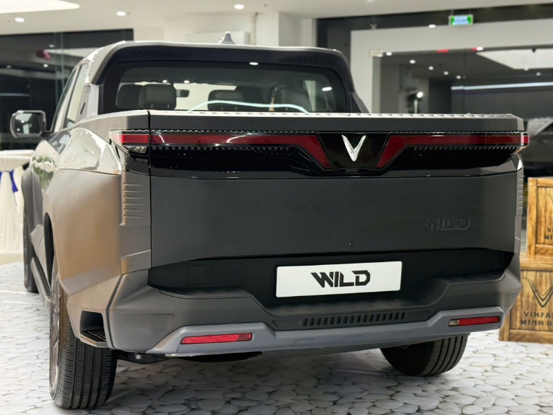 VinFast Wild