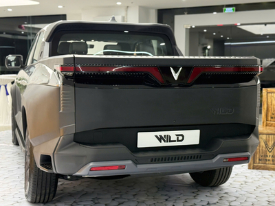 VinFast Wild