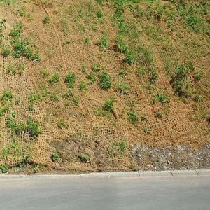 Thảm dệt xơ dừa, lưới xơ dừa, gối ôm xơ dừa, lưới che nắng xơ dừa