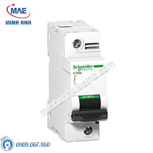 Thiết bị đóng cắt Schneider - Model A9N18356-MCB