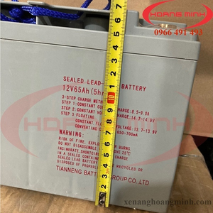 BÌNH ẮC QUI XE NÂNG ĐIỆN 12V65AH-5HR