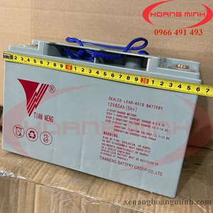 BÌNH ẮC QUI XE NÂNG ĐIỆN 12V65AH-5HR
