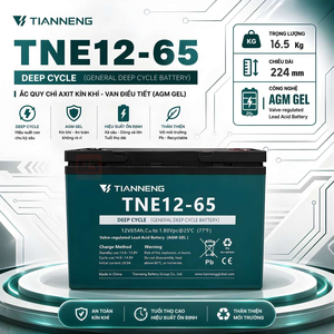 Bình Ắc Quy Xe Nâng 12V 65Ah - Tianneng TNE12-65