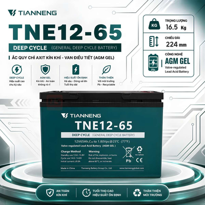 Bình Ắc Quy Xe Nâng 12V 65Ah - Tianneng TNE12-65