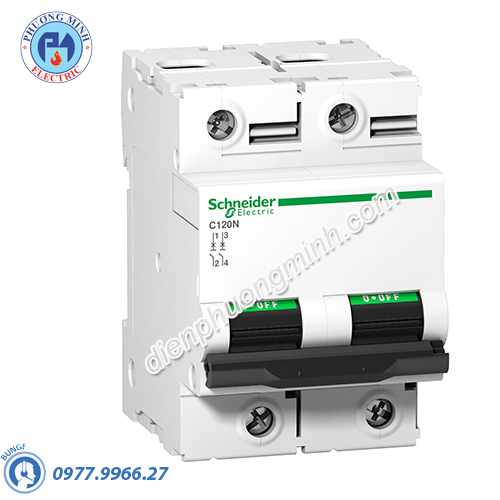 Acti9 C120N MCB 2P 100A 10kA - Model A9N18362