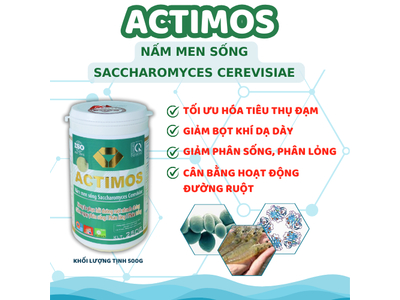ACTIMOS - Nấm men sống Saccharomyces Cerevisiae