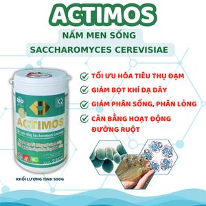 ACTIMOS - Nấm men sống Saccharomyces Cerevisiae