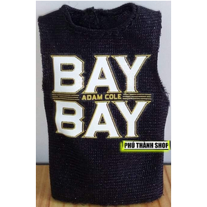 ÁO MÔ HÌNH WWE ADAM COLE - ELITE 71