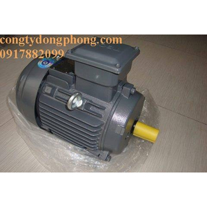 Động cơ điện TECO AESV