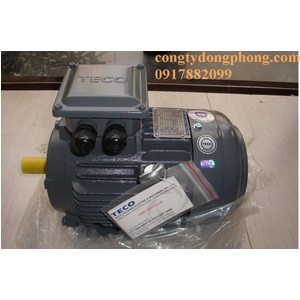 Động cơ điện TECO AESV