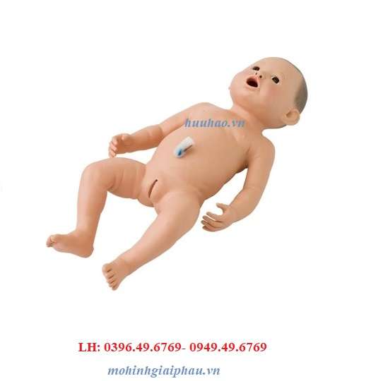MÔ HÌNH THỰC HÀNH CHĂM SÓC TRẺ SƠ SINH AK026G