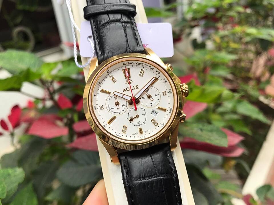 ĐỒNG HỒ NAM AOLIX AL7050G