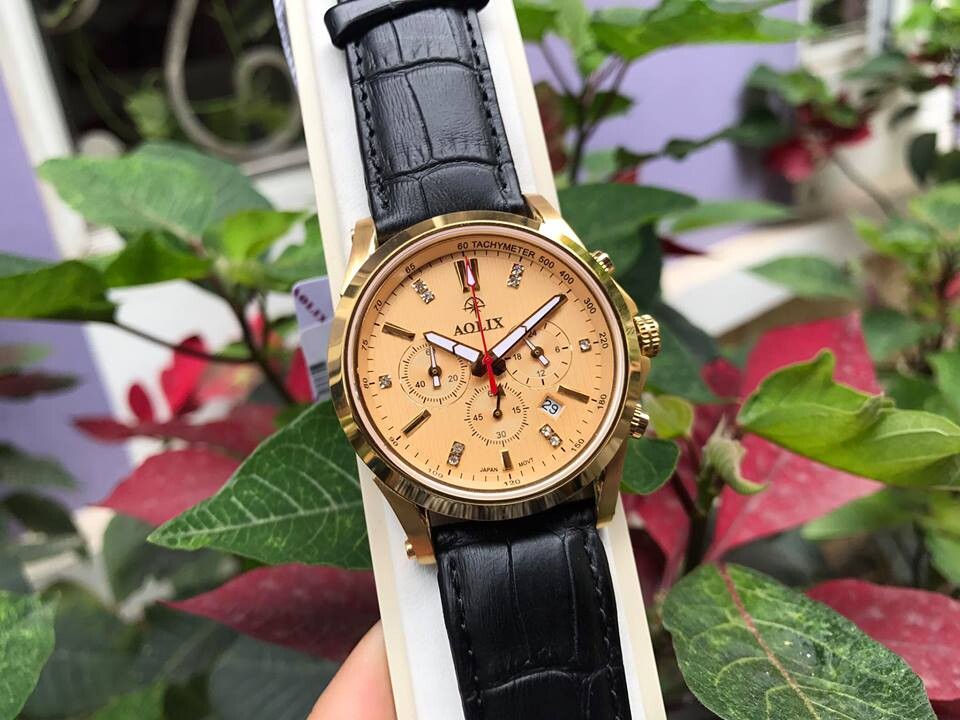 ĐỒNG HỒ NAM AOLIX AL7050G