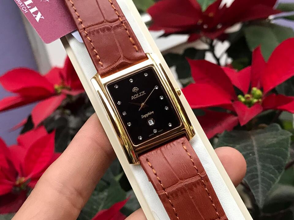 ĐỒNG HỒ NAM AOLIX AL9046G