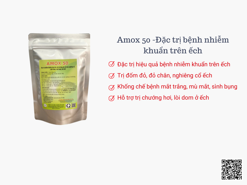 AMOX50 - THUỐC ĐẶC TRỊ BỆNH NHIỄM KHUẨN TRÊN ẾCH
