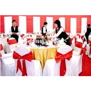 Áo ghế khách sạn, nhà hàng 19